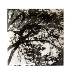 Marimekko Tuuli Lunch Napkins